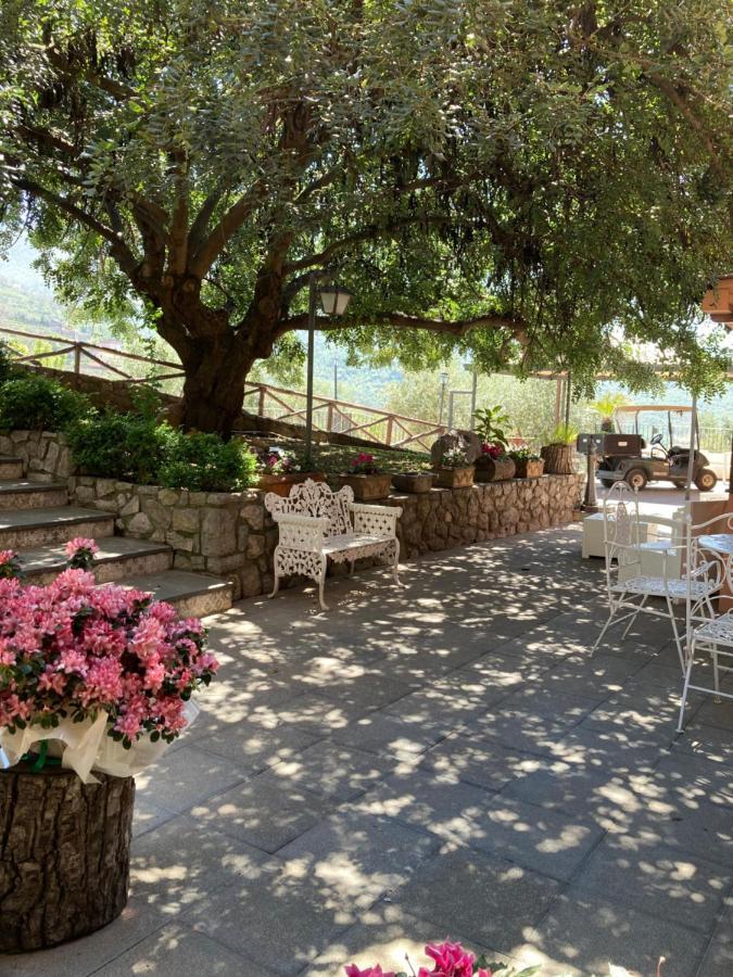 Agriturismo Nonno Luigino Vico Equense Zewnętrze zdjęcie
