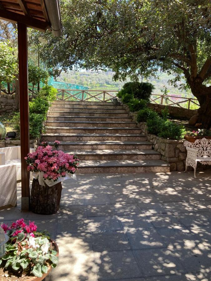 Agriturismo Nonno Luigino Vico Equense Zewnętrze zdjęcie