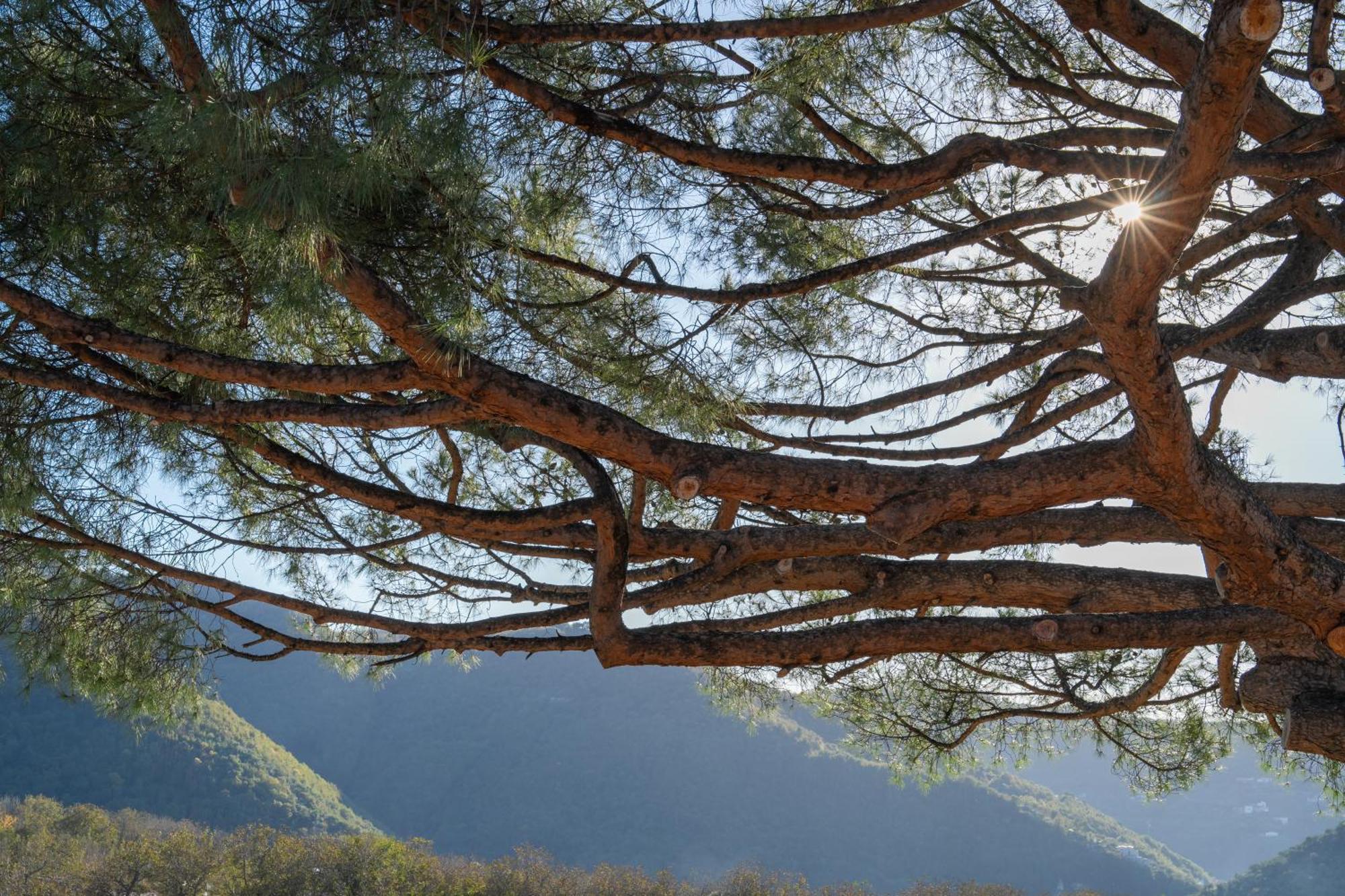 Agriturismo Nonno Luigino Vico Equense Zewnętrze zdjęcie